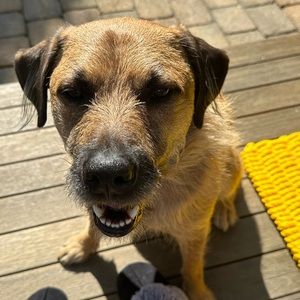 Meet your Posher, Maury